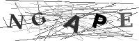 Please refresh your browser to see this image.